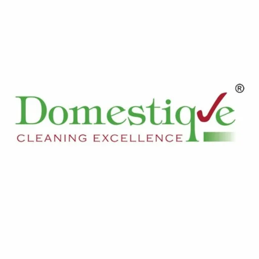 Domestique franchise logo
