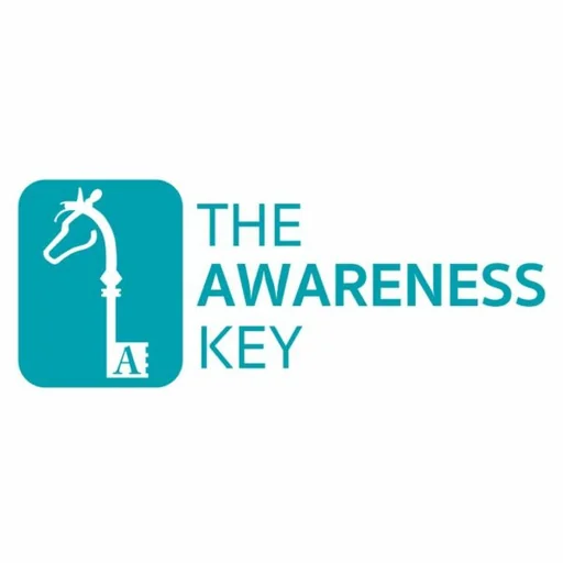 The Awareness Key franchise logo